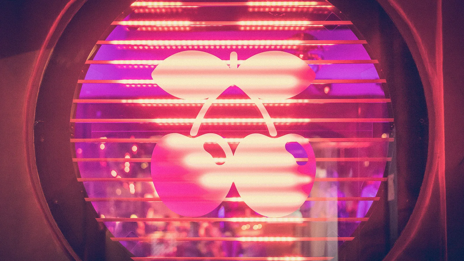 The Pacha double-cherry mark, lit pink behind horizontal slats in a round window.