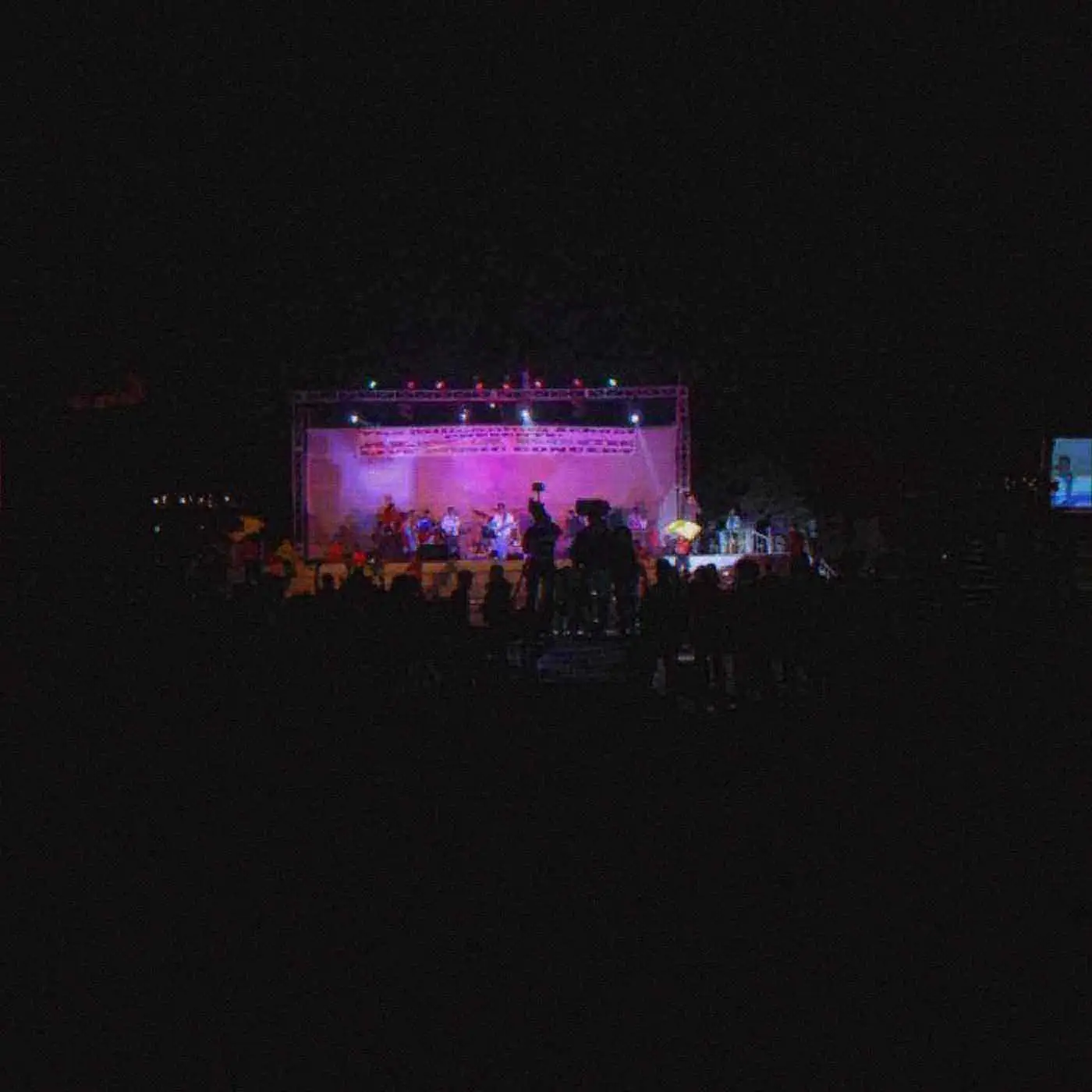 A concert crowd facing the stage. Photo: Alpharockindia, CC BY-SA 3.0.