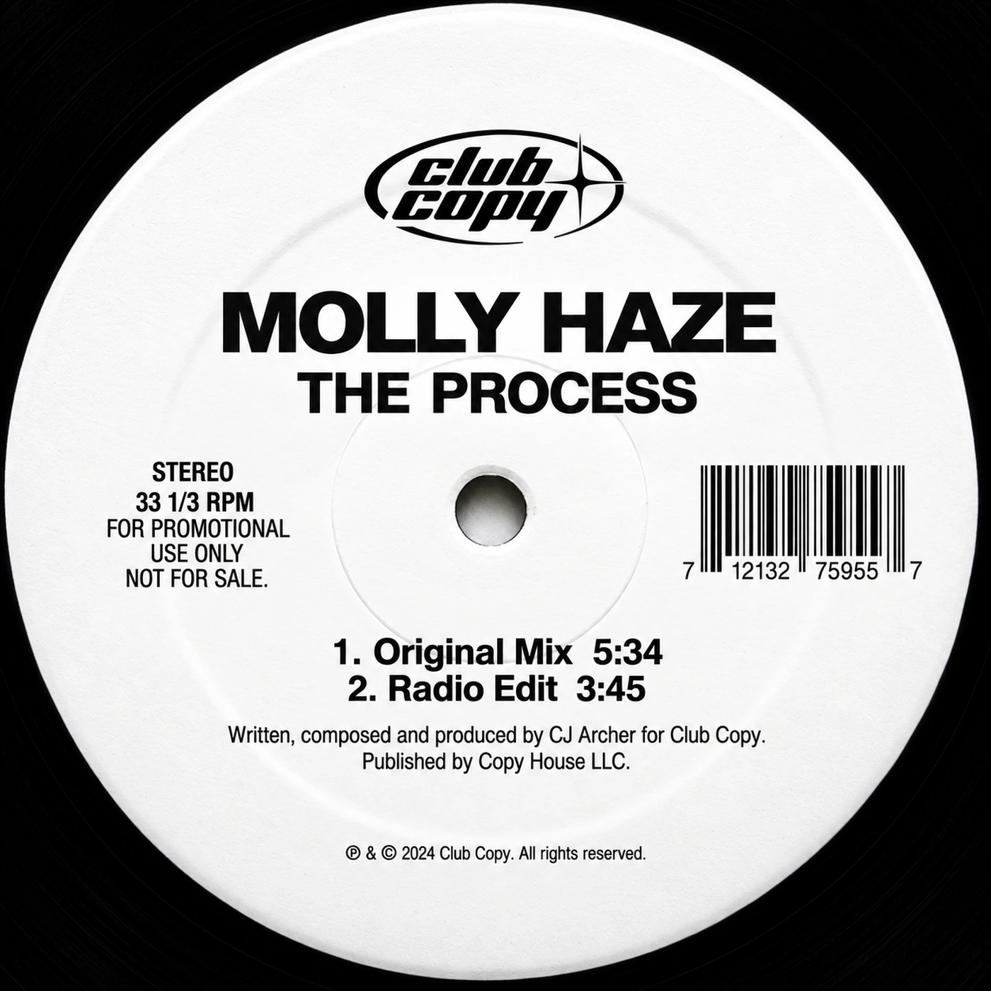 White vinyl Club Copy promo label. Molly Haze — The Process