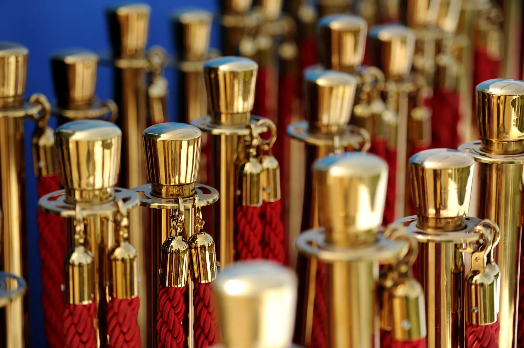 Gold stanchions with thick red ropes.
